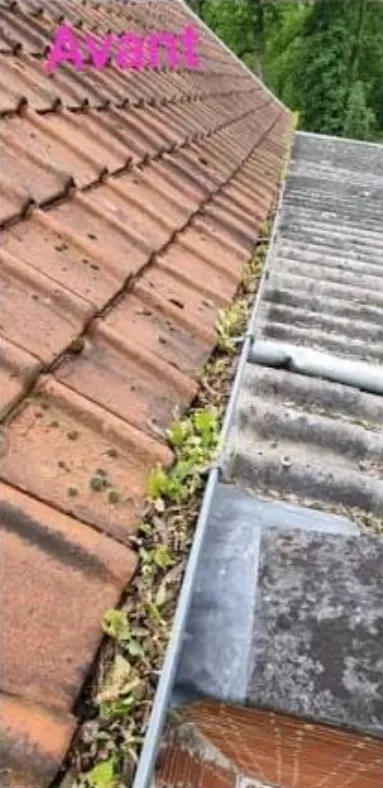 Gouttière remplie de mousse et de végétation