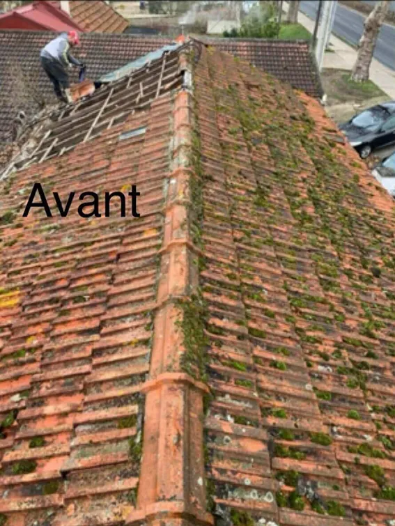 Toiture couverte de mousse avant nettoyage