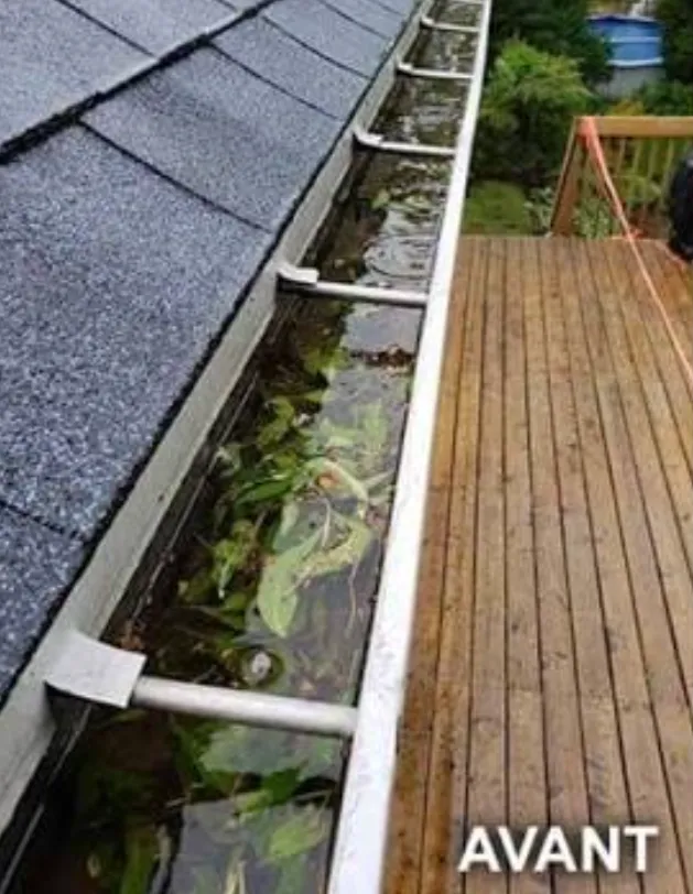 Gouttière obstruée par les feuilles et l'eau stagnante