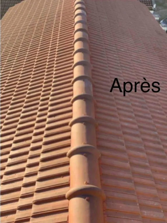 Toiture en tuiles propre après démoussage